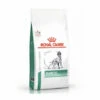 Croquettes Royal Canin Veterinary Diet Diabetic Pour Chiens Sac 1,5 Kg -Alimentation Pour Chien Boutique 11656487 1