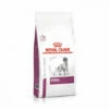 Croquettes Royal Canin Veterinary Diet Renal Pour Chiens Sac 2 Kg -Alimentation Pour Chien Boutique 11656488 1