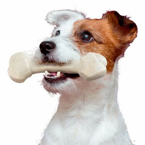 Ferplast GOODBITE NATURAL BEEF BONE Jouet à Mâcher Pour Chiens Au Saveur De Boeuf- 6 Tailles. Variante S - Mesures: 11 X 3.6 X H 1.7 Cm - 5 Ferplast GOODBITE NATURAL BEEF BONE Jouet à Mâcher Pour Chiens Au Saveur De Boeuf- 6 Tailles. Variante S - Mesures: 11 X 3.6 X H 1.7 Cm - – Image 3