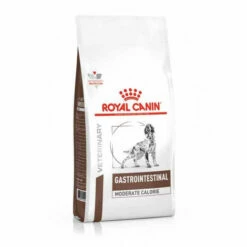 Croquettes Royal Canin Veterinary Diet Gastro Intestinal Moderate Calorie Pour Chiens Sac 15 Kg