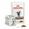 Royal Canin Veterinary Diet Gastro Intestinal Pour Chats 12 Sachets De 85 G -Alimentation Pour Chien Boutique 22926642 1