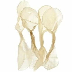 FERRIBIELLA Peau De Vache En Os En Forme De Papillon 100% Naturel 13 Cm