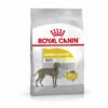 Croquettes Royal Canin Maxi Adulte Dermacomfort Sac 3 Kg -Alimentation Pour Chien Boutique 24497194 1