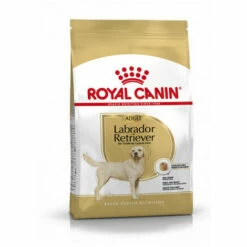 Croquettes Royal Canin Labrador Retriever Adulte Sac 3 Kg