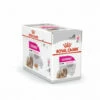 Mousse Royal Canin Exigent Pour Chien - 12 Sachets Fraîcheur 85 G