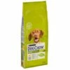 PURINA Nourriture Pour Chiens DOG CHOW Poulet Adulte 14 Kg. 2 PURINA Nourriture Pour Chiens DOG CHOW Poulet Adulte 14 Kg. -Alimentation Pour Chien Boutique 26467796 1