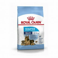 Croquettes Royal Canin Maxi Starter Mother & Babydog Sac 4 Kg