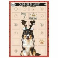 CHADOG Calendrier De L'avent Doogy Deref A Epuis Remplacer Par O0645 Pour 2021