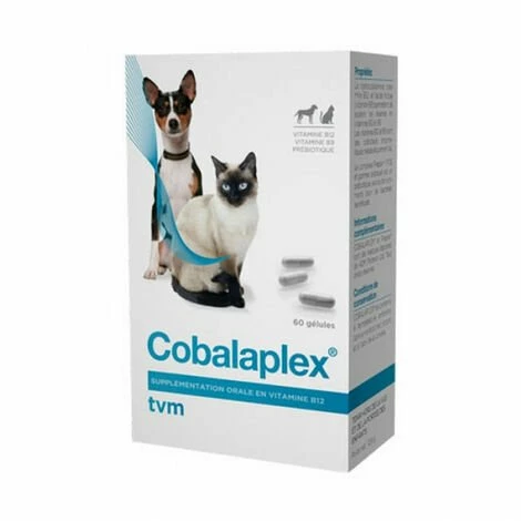 Cobalaplex TVM Supplémentation Vitamines B12 Et B9 Boite 60 Gélules 3 Cobalaplex TVM Supplémentation Vitamines B12 Et B9 Boite 60 Gélules