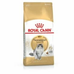 ROYAL CANIN NORWEGIAN FOREST CAT ADULT CROQUETTE POUR CHAT 2 KG ADULTE VOLAILLE (3182550825399) 6 ROYAL CANIN NORWEGIAN FOREST CAT ADULT CROQUETTE POUR CHAT 2 KG ADULTE VOLAILLE (3182550825399) -Alimentation Pour Chien Boutique 40025031 2