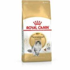 ROYAL CANIN NORWEGIAN FOREST CAT ADULT CROQUETTE POUR CHAT 2 KG ADULTE VOLAILLE (3182550825399) 7 ROYAL CANIN NORWEGIAN FOREST CAT ADULT CROQUETTE POUR CHAT 2 KG ADULTE VOLAILLE (3182550825399) -Alimentation Pour Chien Boutique 40025031 3