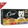 CESAR 24 Barquettes En Sauce 4 Variétés Pour Chien 150g (6x4) -Alimentation Pour Chien Boutique 40983093 1