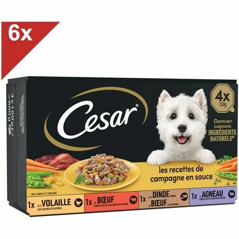 CESAR 24 Barquettes En Sauce 4 Variétés Pour Chien 150g (6x4) 3 CESAR 24 Barquettes En Sauce 4 Variétés Pour Chien 150g (6x4)