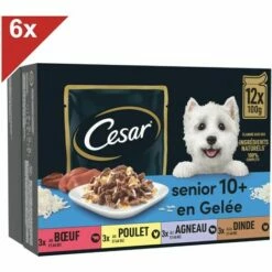 CESAR 72 Sachets Fraîcheur En Gelée 4 Variétés Pour Chien Senior 100g (6x12)