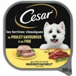CESAR Barquette Poulet En Terrine Pour Chien (20x300g) -Alimentation Pour Chien Boutique 41862793 5