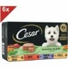 CESAR 24 Barquettes En Terrine 4 Variétés Pour Chien 150g (6x4) -Alimentation Pour Chien Boutique 42191477 1