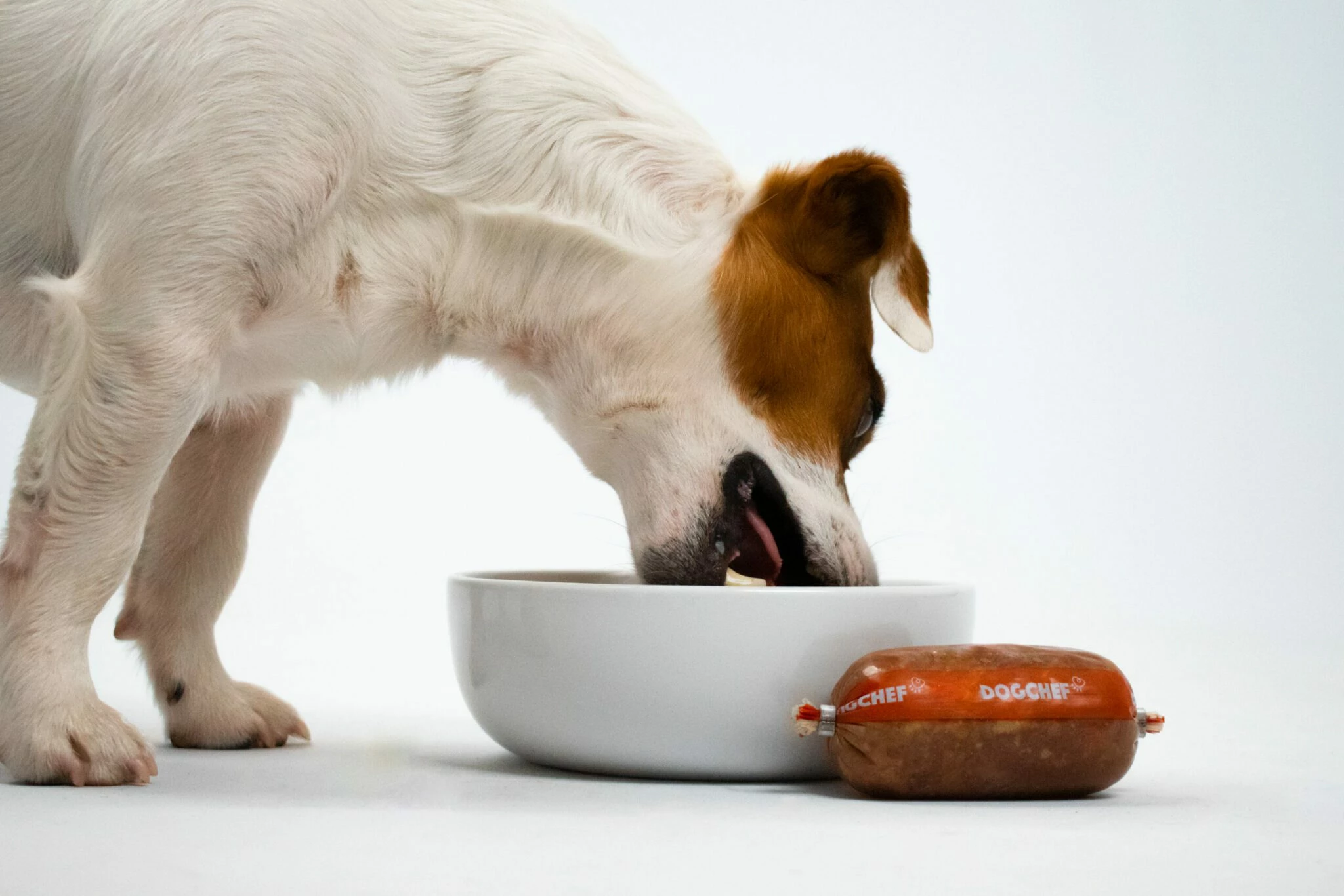 Alimentation pour chien Soldes -Alimentation Pour Chien Boutique 5