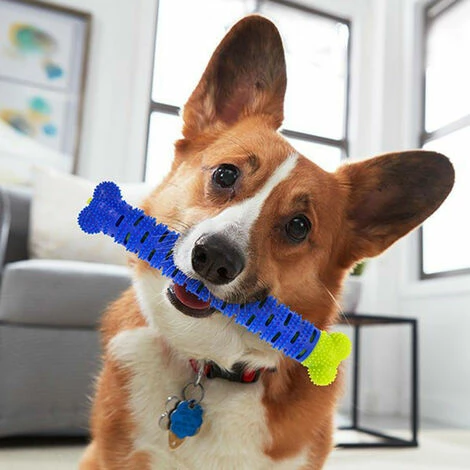SHOPSTORY CHEWBRUSH : L'Os à Mâcher Anti-Tartre Pour Chien 3 SHOPSTORY CHEWBRUSH : L'Os à Mâcher Anti-Tartre Pour Chien