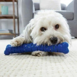 SHOPSTORY CHEWBRUSH : L'Os à Mâcher Anti-Tartre Pour Chien 9 SHOPSTORY CHEWBRUSH : L'Os à Mâcher Anti-Tartre Pour Chien -Alimentation Pour Chien Boutique 51500498 3