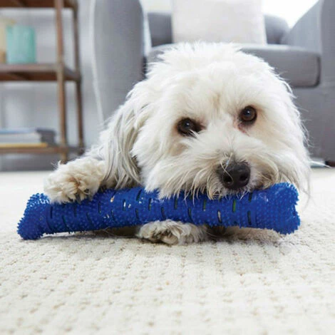 SHOPSTORY CHEWBRUSH : L'Os à Mâcher Anti-Tartre Pour Chien 5 SHOPSTORY CHEWBRUSH : L'Os à Mâcher Anti-Tartre Pour Chien – Image 3