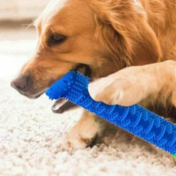 SHOPSTORY CHEWBRUSH : L'Os à Mâcher Anti-Tartre Pour Chien 10 SHOPSTORY CHEWBRUSH : L'Os à Mâcher Anti-Tartre Pour Chien -Alimentation Pour Chien Boutique 51500498 4