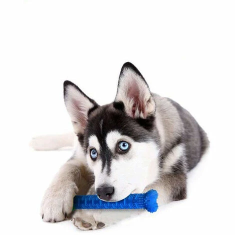 SHOPSTORY CHEWBRUSH : L'Os à Mâcher Anti-Tartre Pour Chien 7 SHOPSTORY CHEWBRUSH : L'Os à Mâcher Anti-Tartre Pour Chien – Image 5