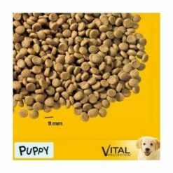 PEDIGREE Chien Junior Croquettes Au Poulet Pour Chiot 3x3kg -Alimentation Pour Chien Boutique 51906102 3