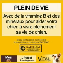 PEDIGREE Mini Croquettes Au Poulet Pour Petit Chien Adulte(<10kg) 6x2kg -Alimentation Pour Chien Boutique 51906108 4