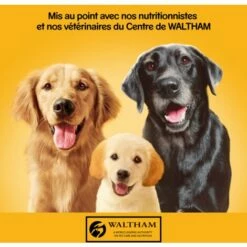 PEDIGREE 12 Boîtes En Sauce 3 Variétés Pâtée Pour Chien 1,2kg (4x3) -Alimentation Pour Chien Boutique 51906110 4