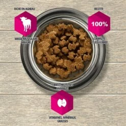Eukanuba - Croquette Pour Chien Adult Grande Race - Agneau & Riz -Alimentation Pour Chien Boutique 59309481 3