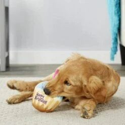 EINEMGELD Jouet De Os Grinçant Pour Chien, Jouet De Gâteau à Mâcher En Peluche Pour Animal De Compagnie, Cadeau D'anniversaire Mignon Dessert En Peluche Pour Chien Chat - Bone -Alimentation Pour Chien Boutique 59333542 3