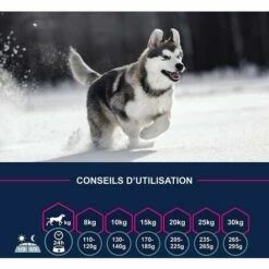 Eukanuba - Croquette Pour Chien Adult Medium Poulet -Alimentation Pour Chien Boutique 59689500 3