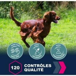 Eukanuba - Croquette Pour Chien Adult Medium Poulet -Alimentation Pour Chien Boutique 59689500 4