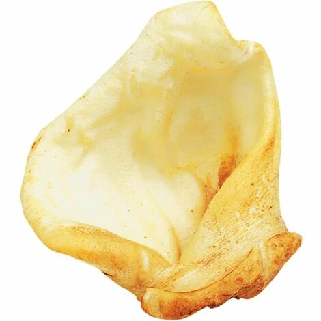 ZOLUX Oreille Boeuf Sechee X2 4 ZOLUX Oreille Boeuf Sechee X2 – Image 2