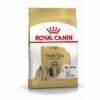 Croquettes Royal Canin Shih Tzu 24 Adulte Sac 1,5 Kg 2 Croquettes Royal Canin Shih Tzu 24 Adulte Sac 1,5 Kg -Alimentation Pour Chien Boutique 8897869 1