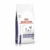 Croquettes Royal Canin Veterinary Care Mature Consult Senior Small Dog Sac 1,5 Kg 2 Croquettes Royal Canin Veterinary Care Mature Consult Senior Small Dog Sac 1,5 Kg -Alimentation Pour Chien Boutique 8898426 1