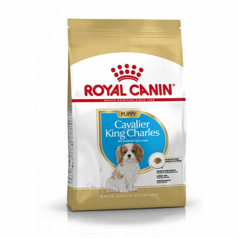Croquettes Pour Chiot Cavalier King Charles Royal Canin Breed Junior Sac 1,5 Kg 3 Croquettes Pour Chiot Cavalier King Charles Royal Canin Breed Junior Sac 1,5 Kg