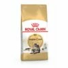 Croquettes Royal Canin Maine Coon Adult Chat à Partir De 15 Mois Sac 4 Kg 2 Croquettes Royal Canin Maine Coon Adult Chat à Partir De 15 Mois Sac 4 Kg -Alimentation Pour Chien Boutique 8898970 1