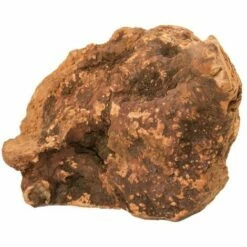 BUBIMEX Racines M (150-300g) -Alimentation Pour Chien Boutique 9360404 2