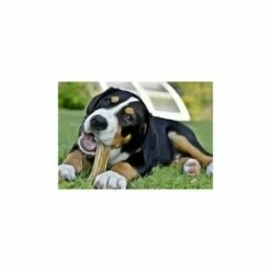 BUBIMEX Os A Macher Au Fluor 13 Cm X 2 7 BUBIMEX Os A Macher Au Fluor 13 Cm X 2 -Alimentation Pour Chien Boutique 9378815 3