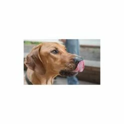 BUBIMEX Filet De Poulet Fitness - 100g 7 BUBIMEX Filet De Poulet Fitness - 100g -Alimentation Pour Chien Boutique 9426553 3